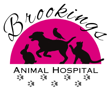 Brookings Animal Hospital